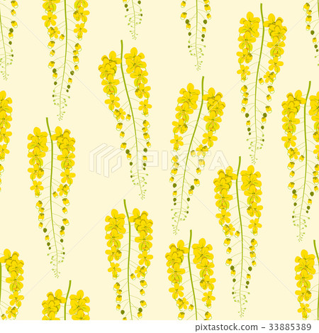 Cassia Fistula - Golden Shower Flower on Beige Cassia Fistula - Golden Shower Flower on Beige 33885389