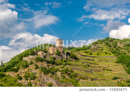 Gutenfels Castle and vineyards at Rhine 33885673