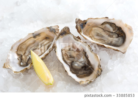 French appetizer oysters 33885853
