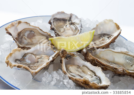 French appetizer oysters French appetizer oysters 33885854