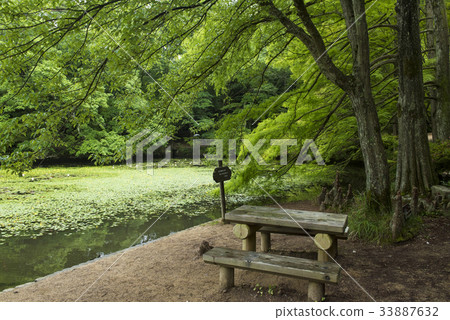 Landscape with pond and trees (Kobe City Forest Botanical Garden) Landscape with pond and trees (Kobe City Forest Botanical Garden) 33887632