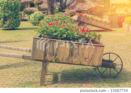Colorful of petunia flowers on trolley in garden 33887734