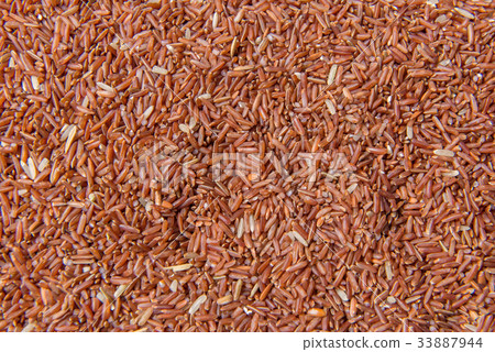 Riceberry rice or Thai black jasmine rice Riceberry rice or Thai black jasmine rice 33887944