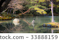 日本庭園 33888159