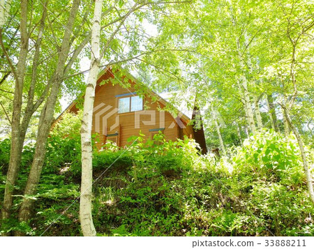 Cute villa in the fresh green white birch forest Cute villa in the fresh green white birch forest 33888211