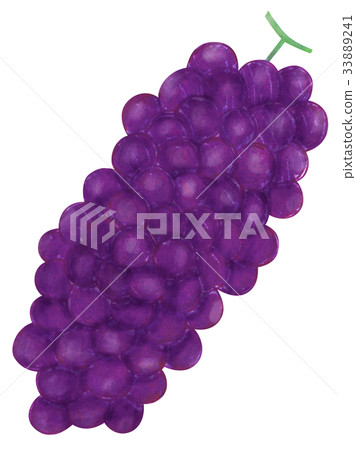 Hand drawn grapes delaware 33889241
