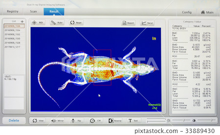 Digital image of animal x-ray software 33889430