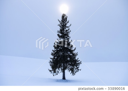 美瑛，冬天 33890016