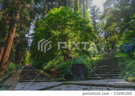 Approach to the temple hall Approach to the temple hall 33890269