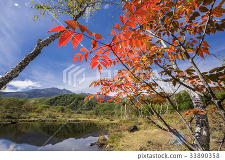 彩色拼圖池 彩色拼圖池 33890358