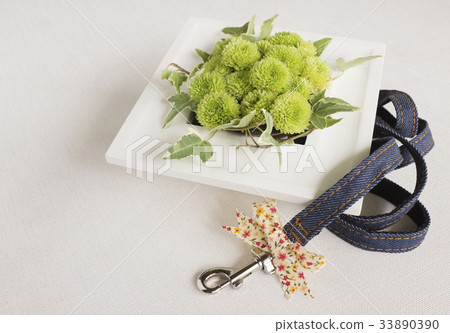 Pet burial Pet burial 33890390