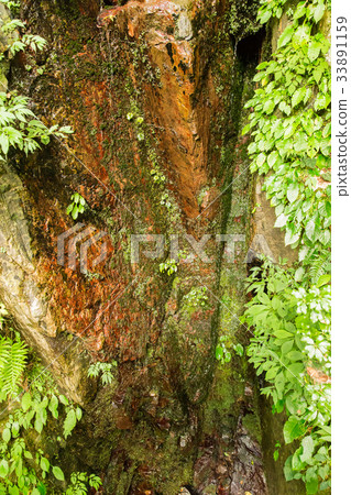 Ishishimizu, Sandankyo (Akita Tamachi, Hiroshima Prefecture) 33891159