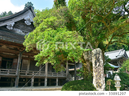 Tabuchiki of Nachisan Aokigiji Temple-188 772 Tabuchiki of Nachisan Aokigiji Temple-188 772 33891207