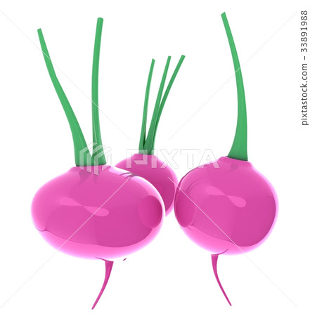 Small garden radish isolated on white background Small garden radish isolated on white background 33891988