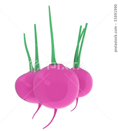 Small garden radish isolated on white background Small garden radish isolated on white background 33891990