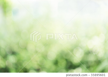 Abstract defocused green blurred background Abstract defocused green blurred background 33895601