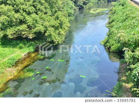 Shishigawa-27790 33895781