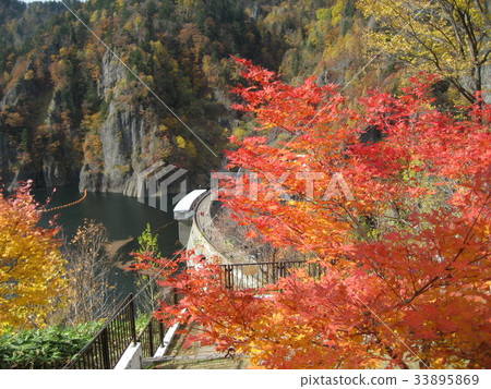 Autumn leaves of Jozankei on the outskirts of Hokkaido, Hokkaido 33895869