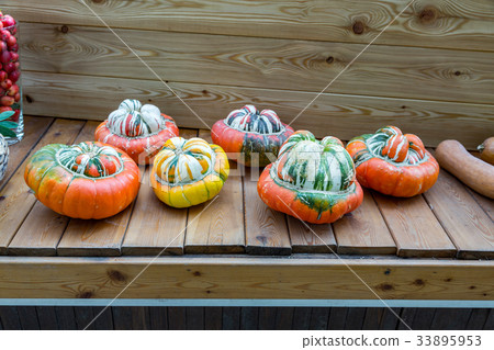Large pumpkin fruit Large pumpkin fruit 33895953