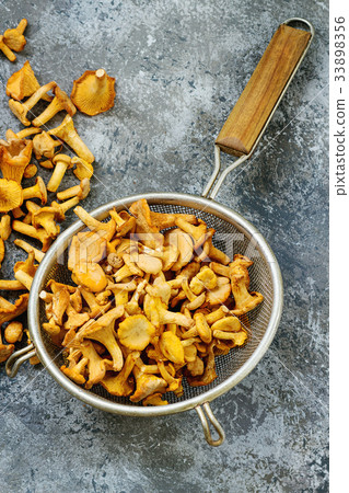 Forest mushrooms chanterelle Forest mushrooms chanterelle 33898356