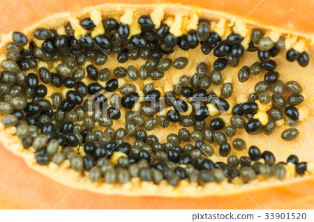 Papaya fruits Papaya fruits 33901520