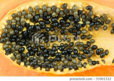 Papaya fruits 33901522