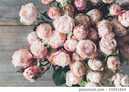 Pink shrub roses bouquet vintage style 33901864