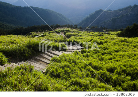 合歡山東峰步道 33902309
