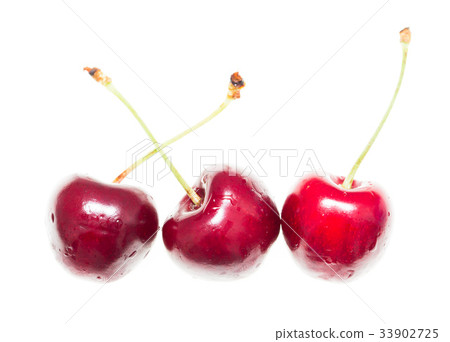 Juicy red cherry on a white background Juicy red cherry on a white background 33902725