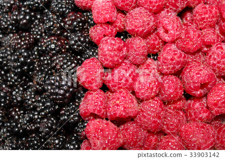 照片素材(图片): blackberry and raspberry