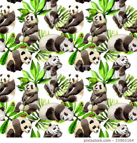 Panda wild animal pattern in a watercolor style. 33903164