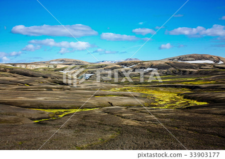 Landscape with moss in Iceland. 33903177