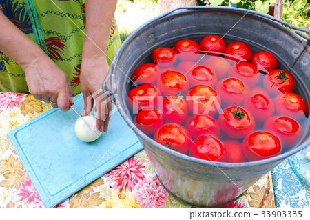 woman slices horseradish for preservation 33903335