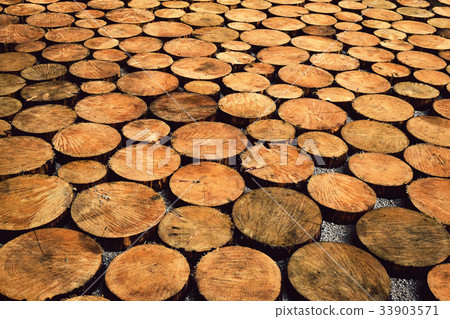 pavement of wooden logs pavement of wooden logs 33903571