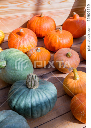Large pumpkin fruit 33904339
