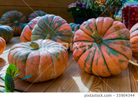 Large pumpkin fruit 33904344