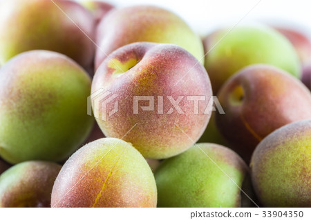 Koume紫色女王 Koume紫色女王 33904350