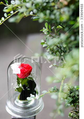 Image material of bridal Image material of bridal 33904488