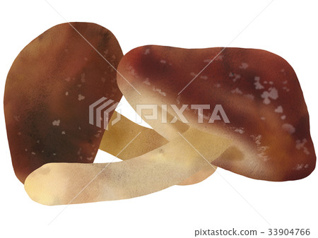 香菇 香菇 33904766