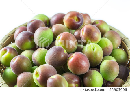 Koume Purple Queen Koume Purple Queen 33905006