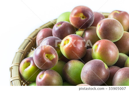 Koume Purple Queen Koume Purple Queen 33905007