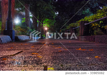 A night view of Yokohama with a light rain trail on Yamashita Koen-dori 33905082
