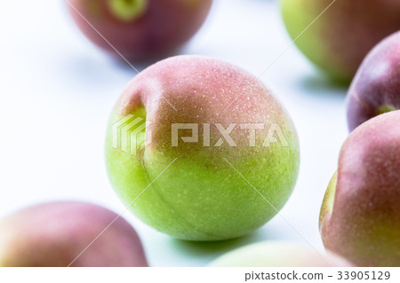 Koume紫色女王 Koume紫色女王 33905129