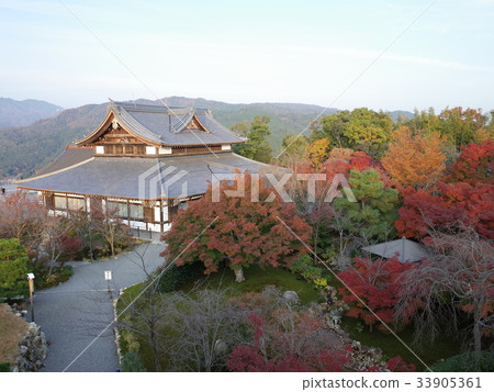 Momiji Garden _ Shogun Tsukae Blue Dragon Momiji Garden _ Shogun Tsukae Blue Dragon 33905361