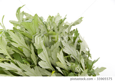 Wormwood 33905575