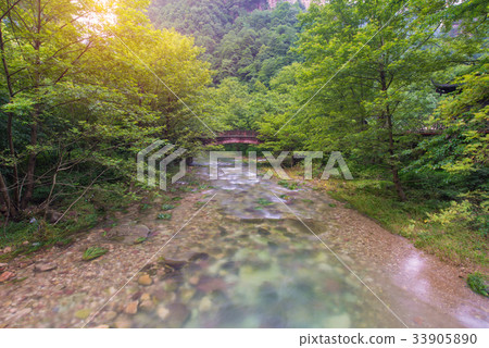 Waterfall and bridge in Golden whip stream  Waterfall and bridge in Golden whip stream  33905890