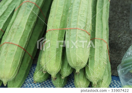 fresh luffa in market fresh luffa in market 33907422