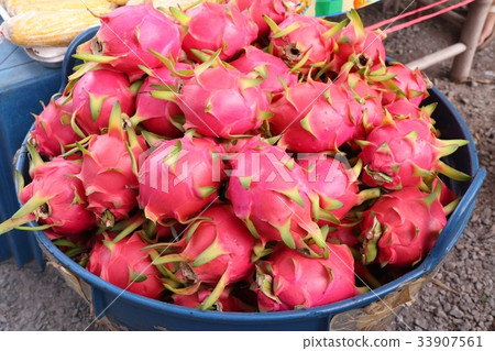 dragon fruit at street road dragon fruit at street road 33907561