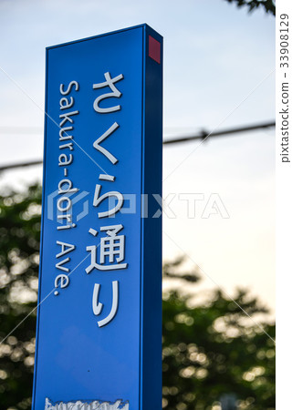 Sakura Road Signpost 33908129