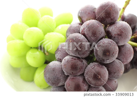 Kyoho grape Muscat 33909013